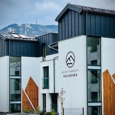 Apartamenty Riders Lodge Szczyrk Kalinowa Zewnętrze zdjęcie
